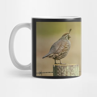 CA Quail Mug